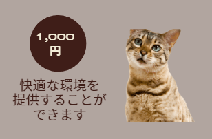 1,000円:快適な環境を提供することができます
