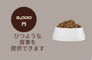 3,000円:ひつような食事を提供できます